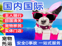 海浪空运公司国际宠物托运 【国